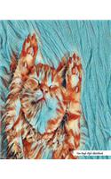Van Gogh Style Sketchbook: Van Gogh Style Cat Print (3), 8" x 10" - Drawing Sketchbook, Unlruled Notebook, Drawing Paper -[Sketch book]
