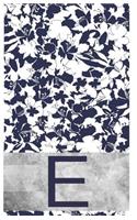 E Initial Notebook