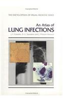 An Atlas of Lung Infections