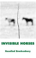 Invisible Horses