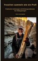 Fossilien sammeln wie ein Profi
