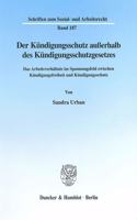 Der Kundigungsschutz Ausserhalb Des Kundigungsschutzgesetzes: Das Arbeitsverhaltnis Im Spannungsfeld Zwischen Kundigungsfreiheit Und Kundigungsschutz