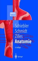 Anatomie
