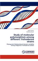 Study of molecular polymorphism among different Trichoderma strains