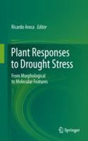 PLANT RESPONSES TO DROUGHT STRESS