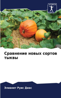 Сравнение новых сортов тыквы