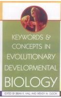 Keywords and Concepts in Evolutionary Developmental Biology