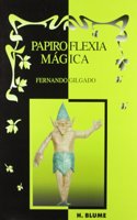 Papiroflexia magica