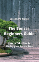 Bonsai Beginners Guide: How to Take Care & Display your Bonsai Tree