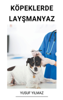 Köpeklerde Layşmanyaz