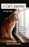 Cat's Journey To Your Soul