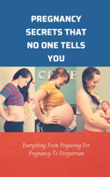 Pregnancy Secrets That No One Tells You: Everything From Preparing For Pregnancy To Postpartum: Advice Given To Pregnant Woman