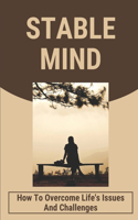 Stable Mind: How To Overcome Life's Issues And Challenges: The Quality Of Stable Mind