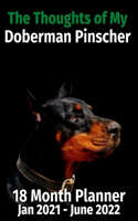 Thoughts of My Doberman Pinscher