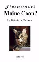 ¿Cómo conocí a mi Maine Coon?