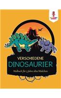 Verschiedene Dinosaurier: Malbuch für 5 Jahre altes Mädchen