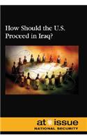 How Should the U.S. Proceed in Iraq?