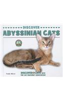 Discover Abyssinian Cats