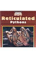 Reticulated Pythons: (World's Largest Snakes)
