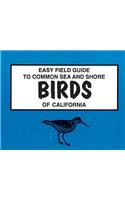Easy Field Guide to Common Sea and Shore Birds of California