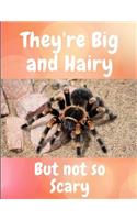 They're Big and Hairy But Not So Scary