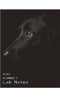 2020 Weekly, Monthly Planner & Lab Notes: Labrador Retriever Dog Agenda For Daily Plans - Year Organizer: Gift Appointment Book for Pet Owner - Funny Pun Logbook for Organizing Days Tasks, W