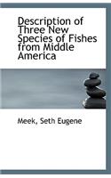 Description of Three New Species of Fishes from Middle America