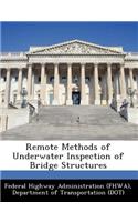 Remote Methods of Underwater Inspection of Bridge Structures
