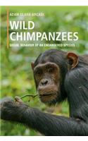 Wild Chimpanzees