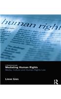 Mediating Human Rights
