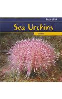 Sea Urchins