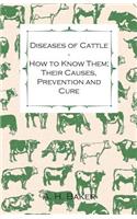 Diseases of Cattle - How to Know Them; Their Causes, Prevention and Cure - Containing Extracts from Livestock for the Farmer and Stock Owner