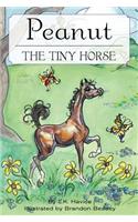 Peanut the Tiny Horse