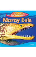 Moray Eels