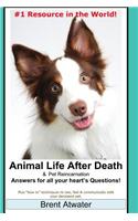 Animal Life After Death & Pet Reincarnation