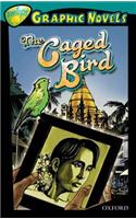 Oxford Reading Tree: Level 16: Treetops Graphic Novels: the Caged Bird