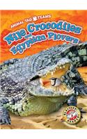 Nile Crocodiles and Egyptian Plovers