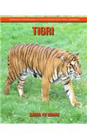 Tigri