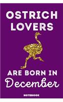 Ostrich Lovers Are Born In December