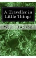 A Traveller in Little Things