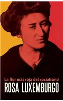 Rosa Luxemburgo