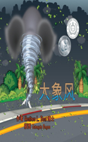 大象风 (Mandarin Edition)