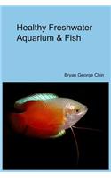 Healthy Freshwater Aquarium & Fish