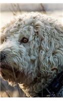 Goldendoodle Notebook