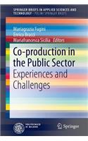Co-Production in the Public Sector