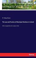 Law and Practice of Municipal Elections in Ireland