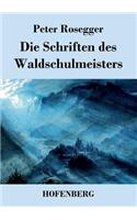 Schriften des Waldschulmeisters: Roman