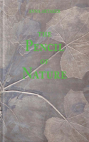 Anna Artaker: The Pencil of Nature