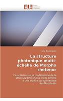 La Structure Photonique Multi-Échelle de Morpho Rhetenor