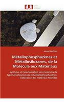 Métallophosphazènes Et Métallosiloxanes, de la Molécule Aux Matériaux